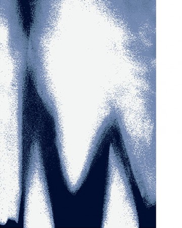 Shadow 1